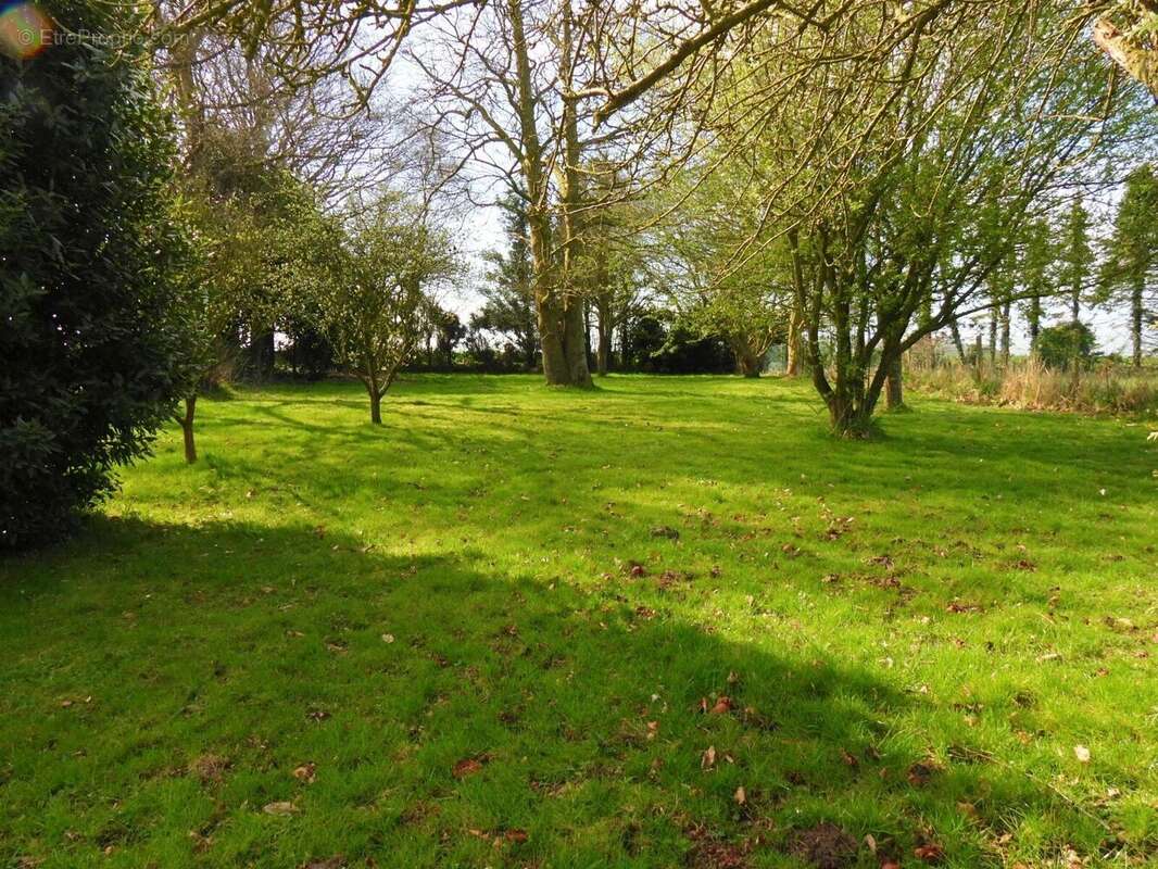 Photo 2 - Maison à FECAMP