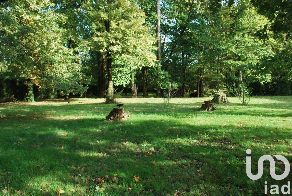 Photo 6 - Maison à MARGUERON