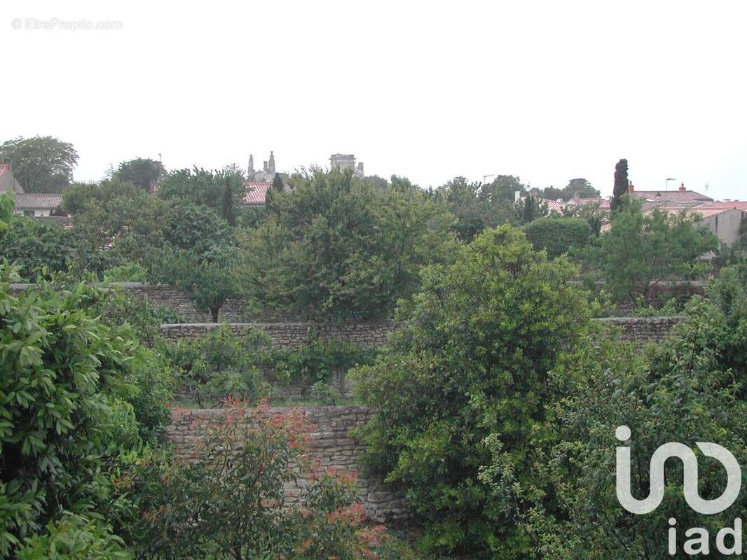 Photo 3 - Maison à SAINT-MARTIN-DE-RE