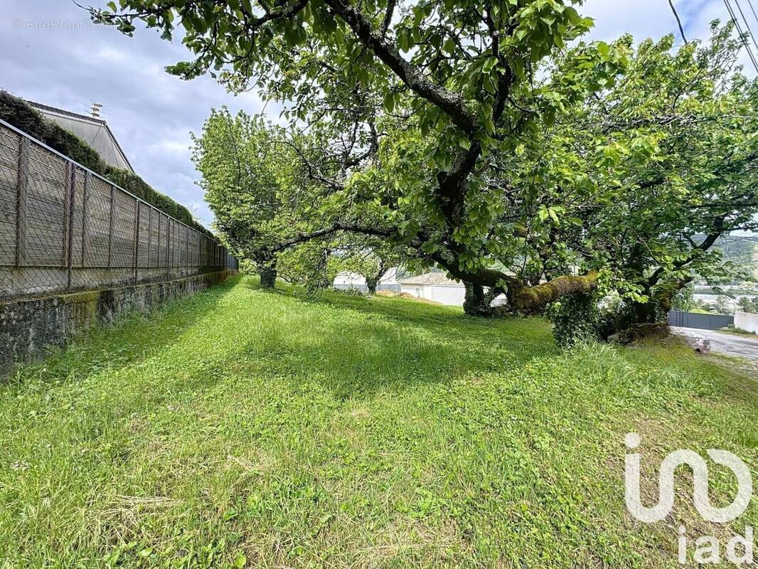 Photo 1 - Terrain à TOURNON-SUR-RHONE