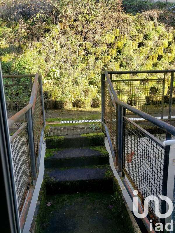 Photo 6 - Appartement à TULLE