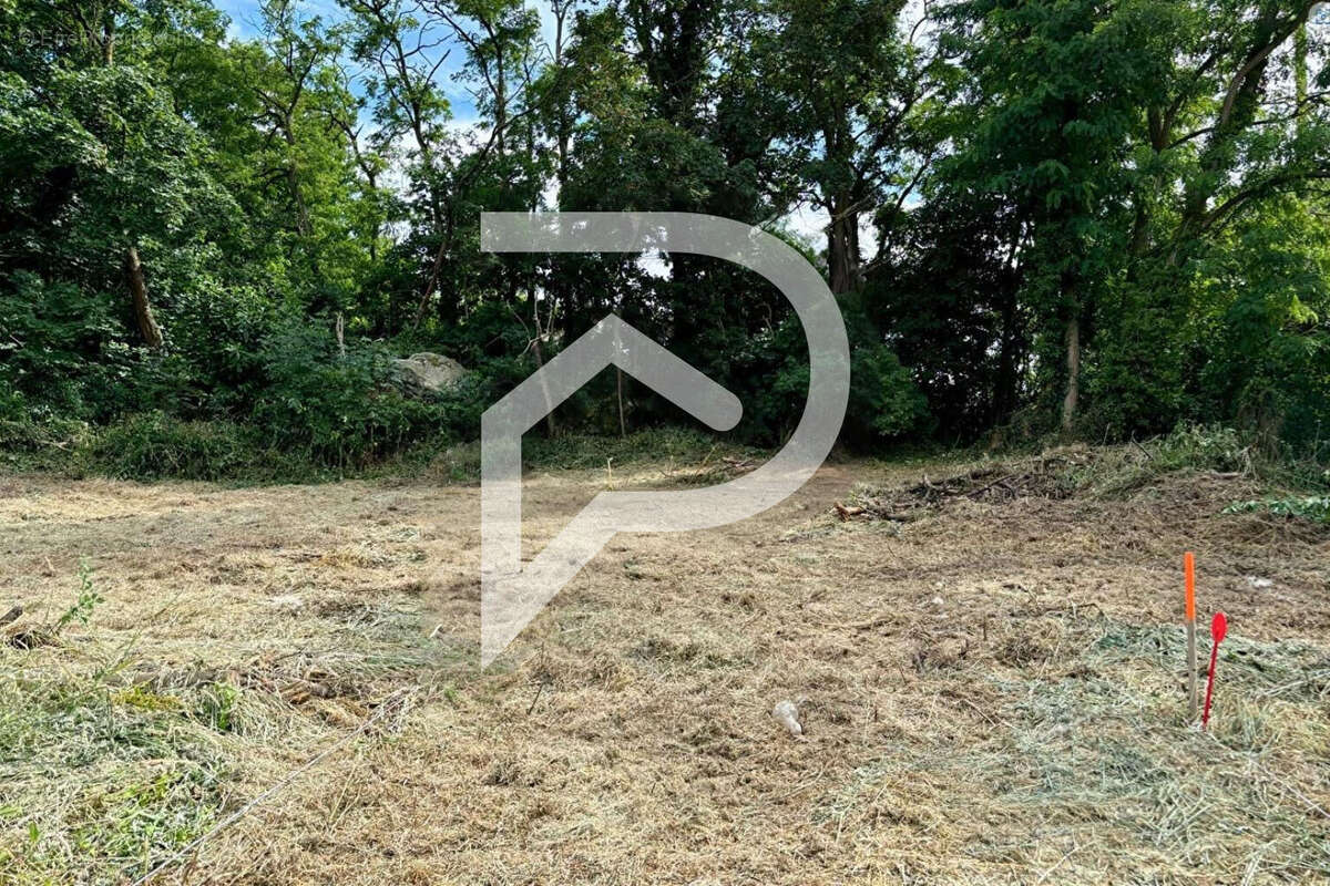 Terrain à BALLANCOURT-SUR-ESSONNE