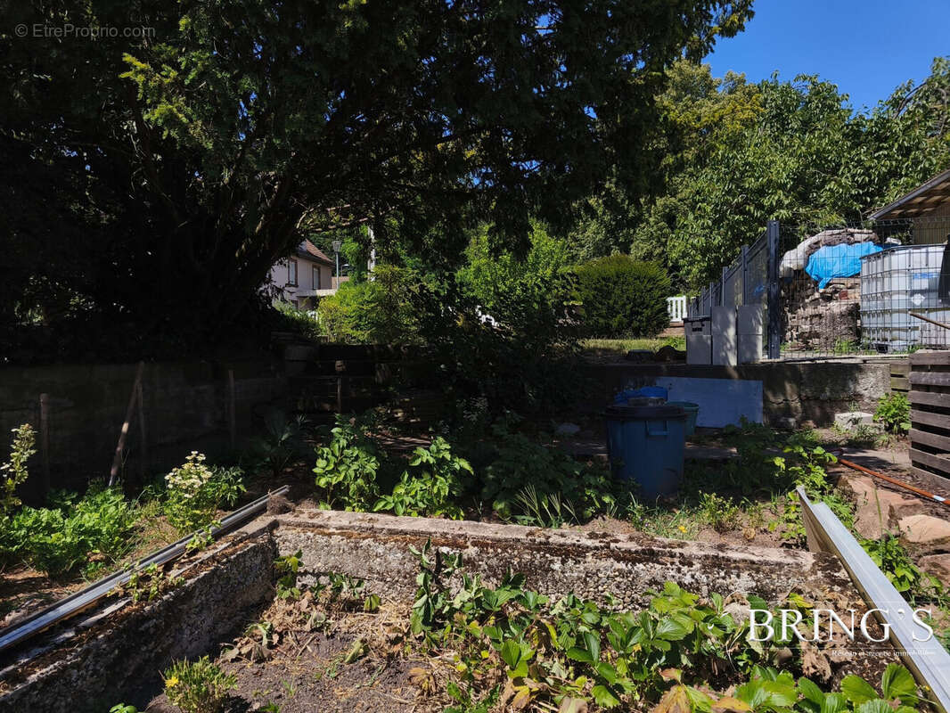 Maison à WINGEN-SUR-MODER