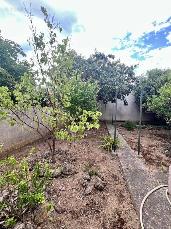 Maison à SAINT-LAURENT-DE-LA-CABRERISSE