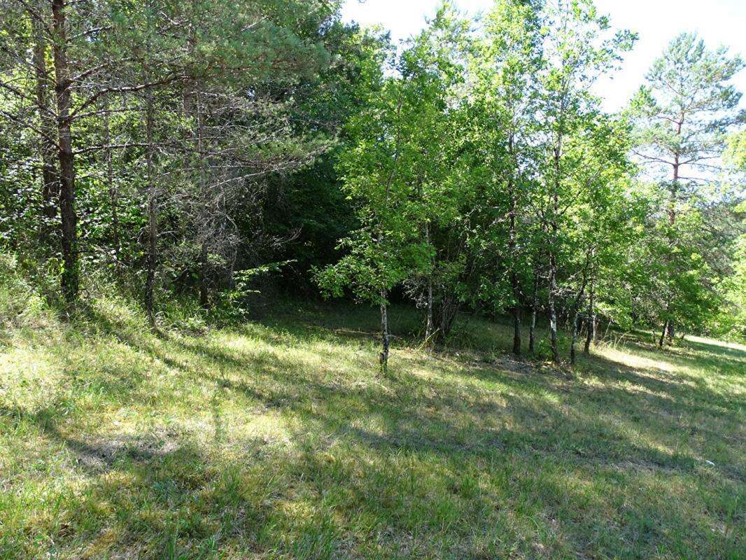 Terrain à AURIAC-DU-PERIGORD