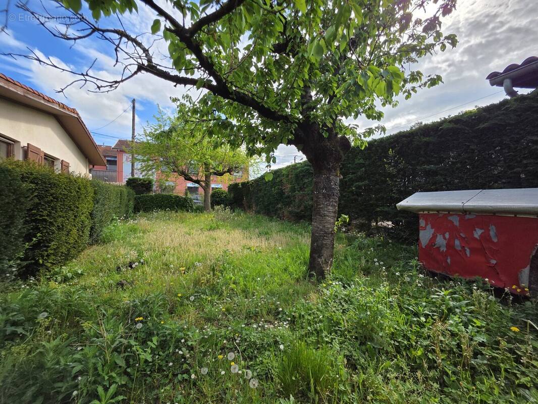 Maison à VILLEURBANNE