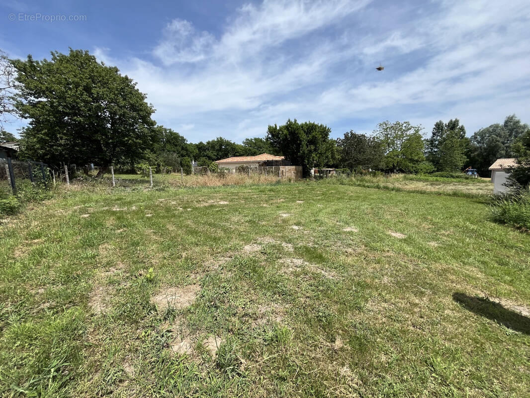 Terrain à BAZAS