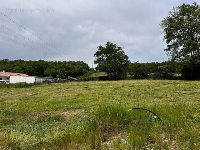 Terrain à BONDIGOUX