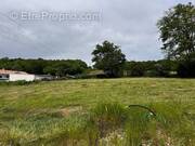 Terrain à BONDIGOUX