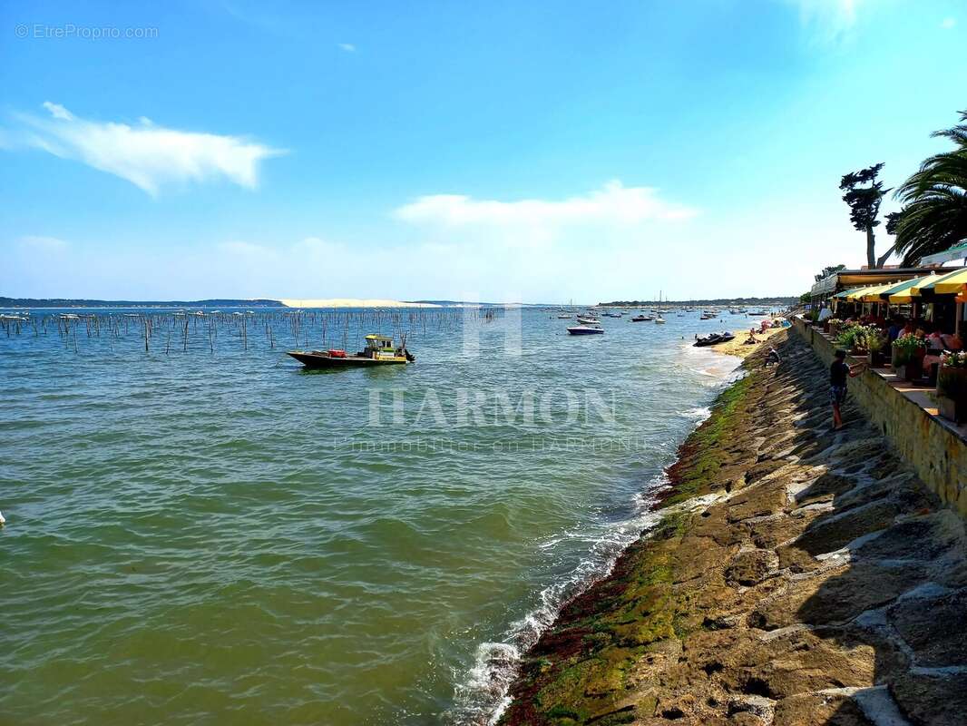 Maison à LEGE-CAP-FERRET