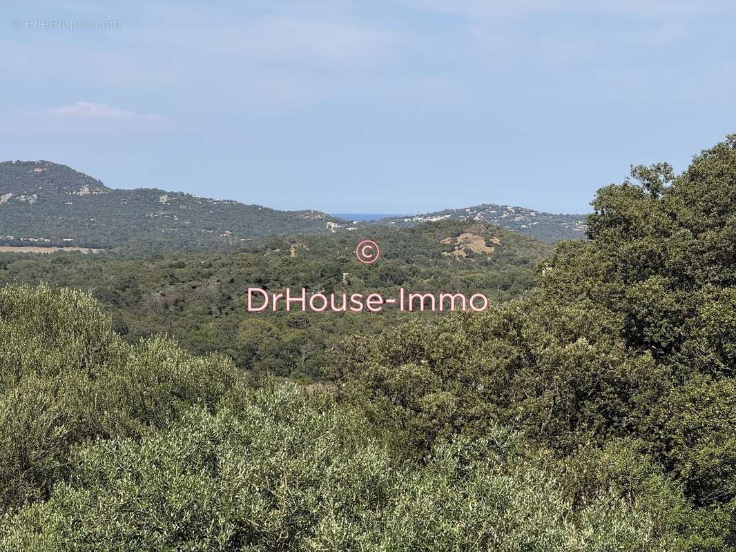 Maison à PORTO-VECCHIO