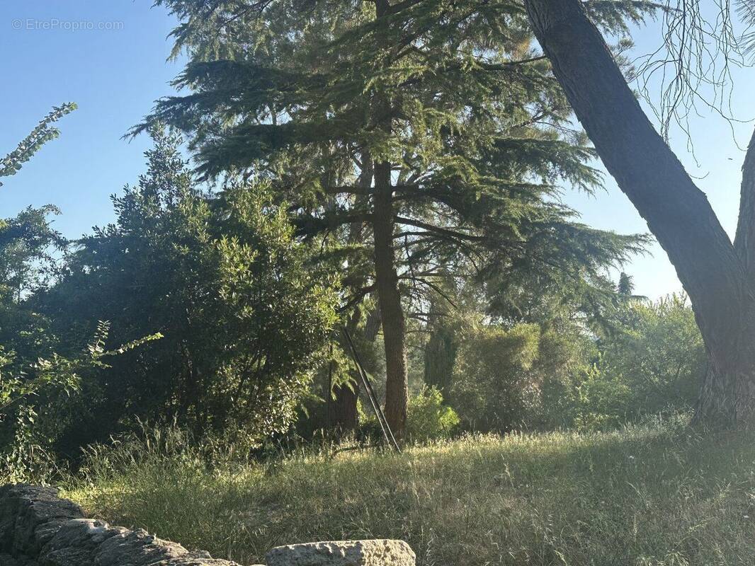 Photo 1 - Terrain à FOURNES