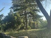 Photo 1 - Terrain à FOURNES