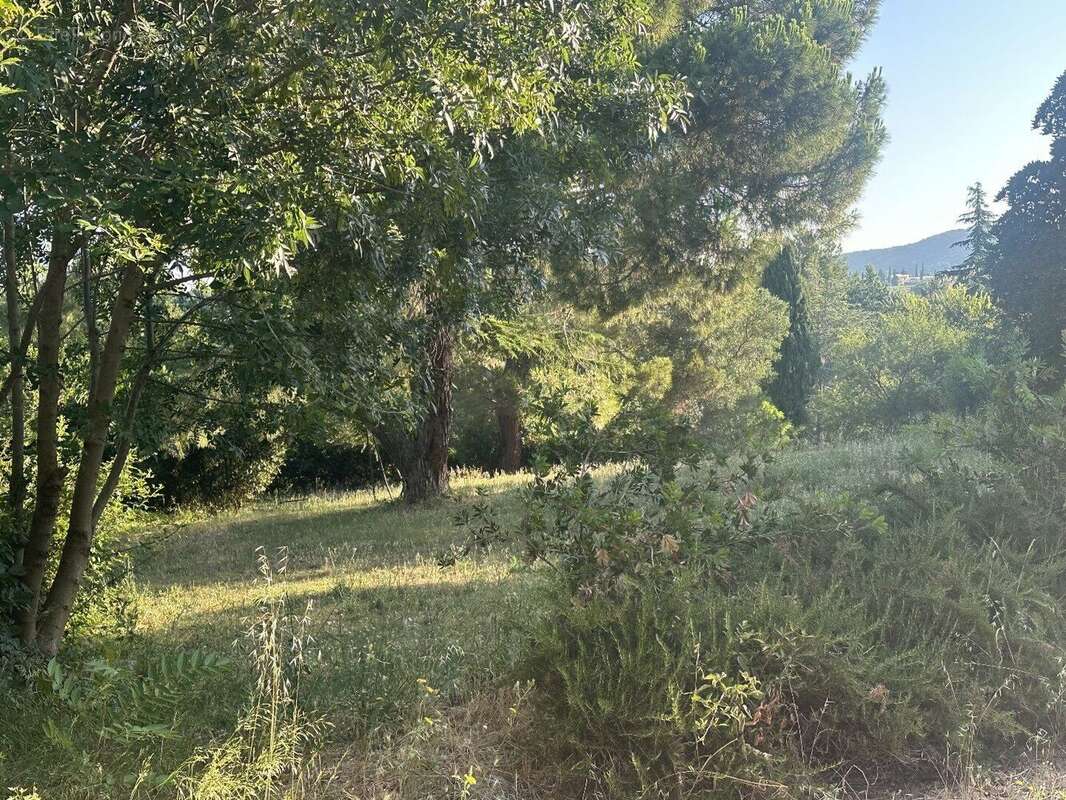 Photo 2 - Terrain à FOURNES