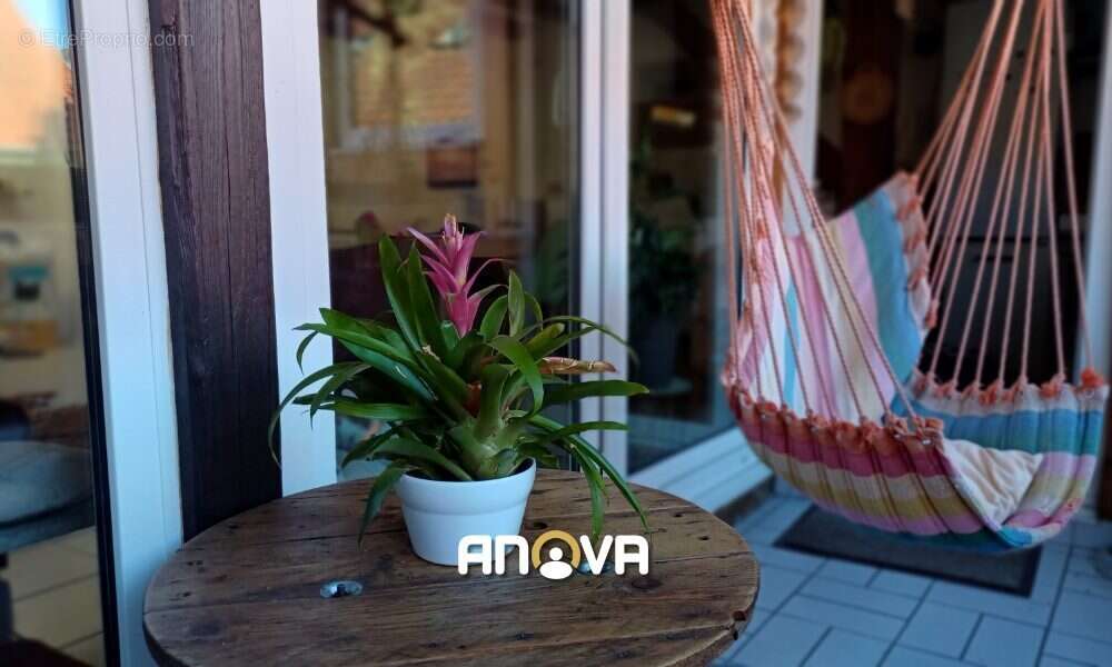 Appartement à MOMMENHEIM