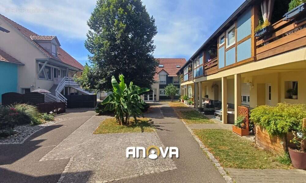 Appartement à MOMMENHEIM