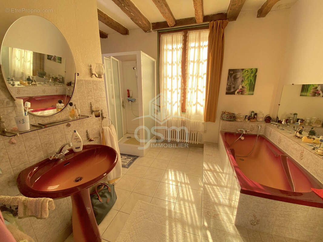 Maison à SAINTE-MAURE-DE-TOURAINE