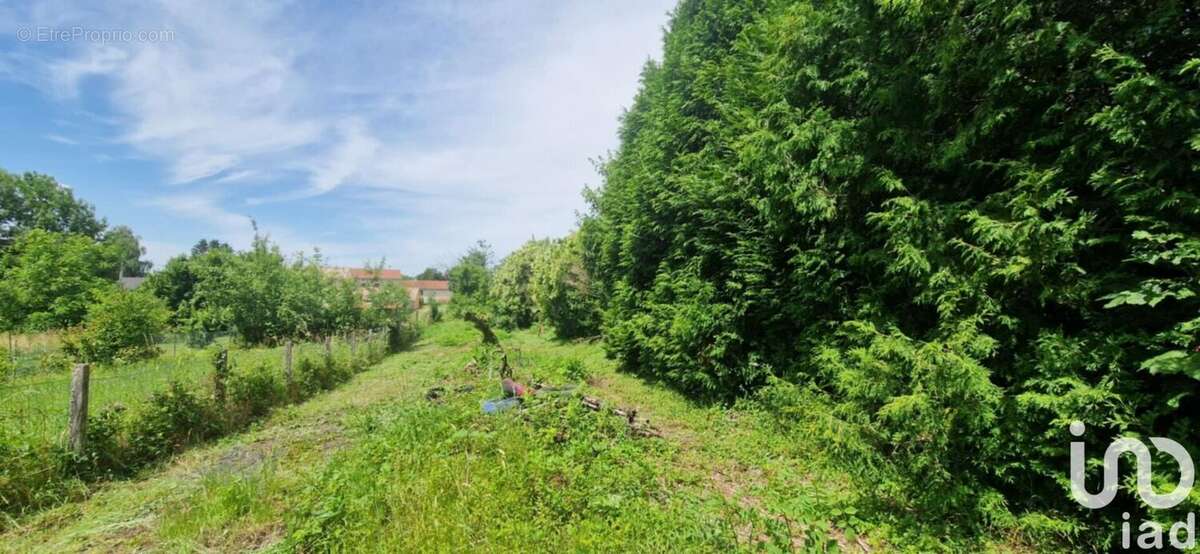 Photo 9 - Maison à BRAUVILLIERS