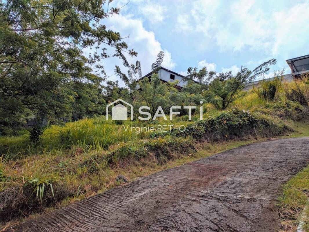 Photo 1 - Terrain à SAINTE-LUCE