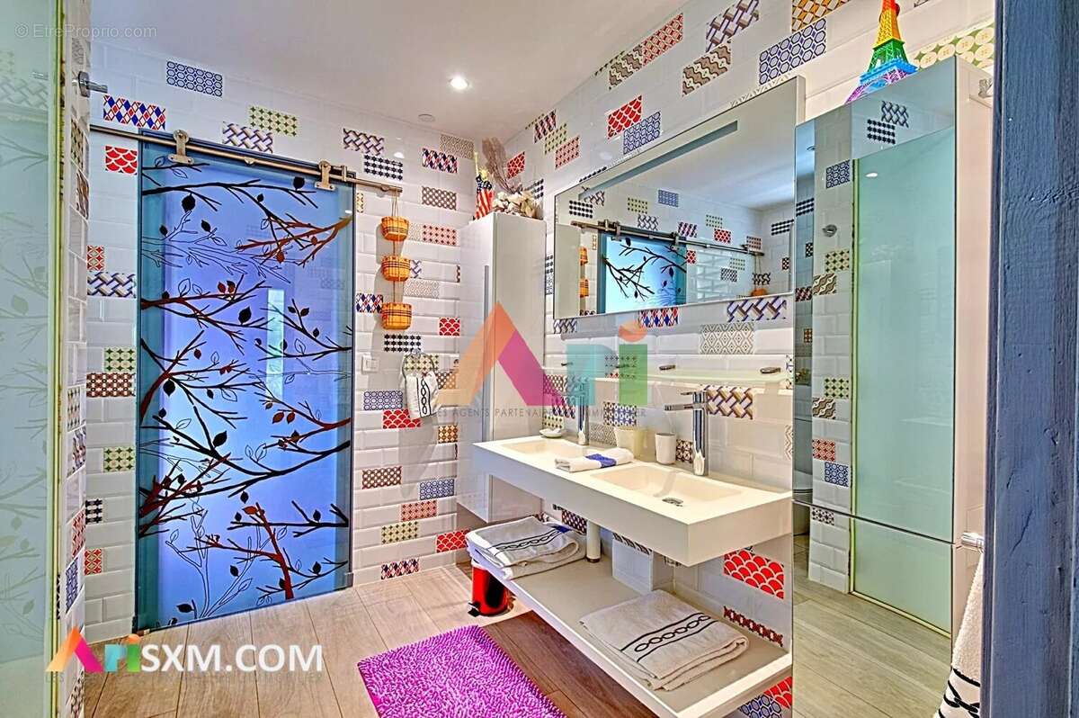 Maison à SAINT-MARTIN