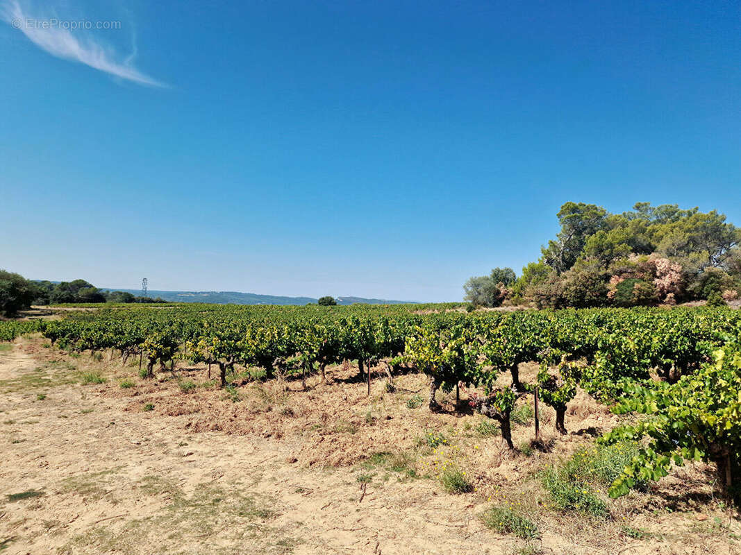 Terrain à SAINT-GERVAIS