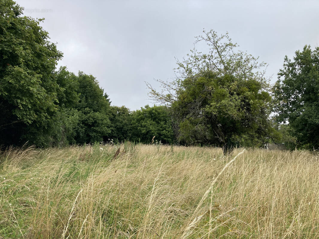 Terrain à MAGNAC-BOURG