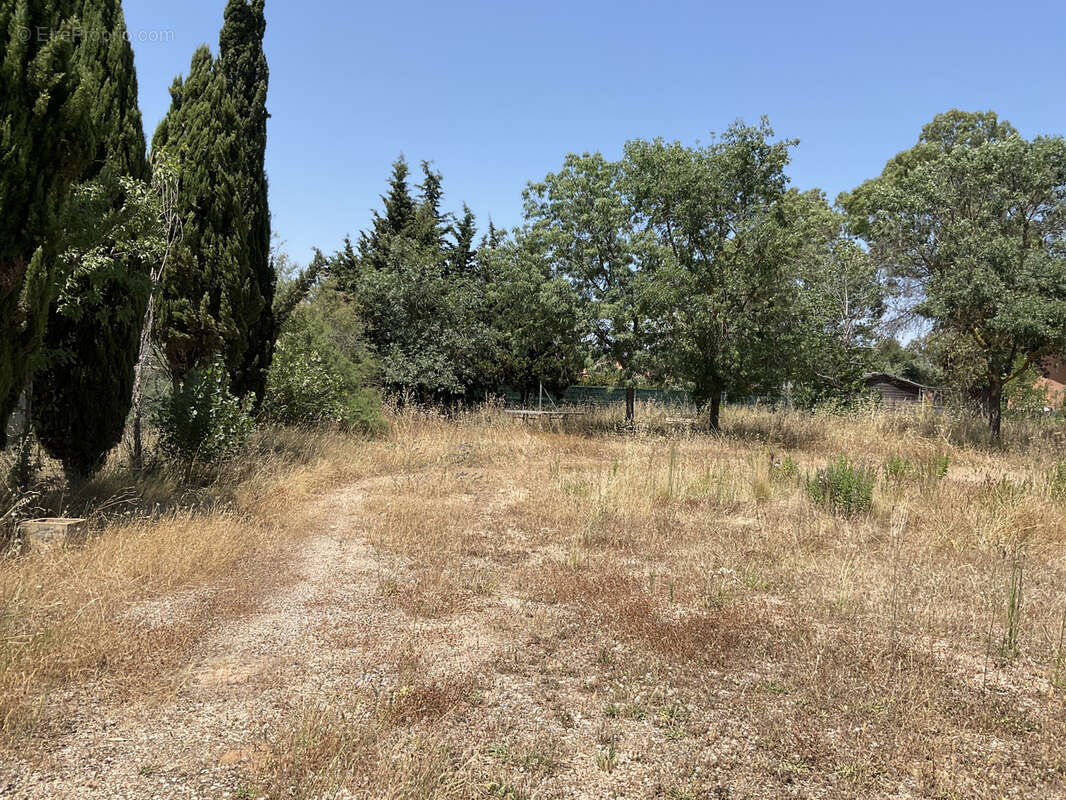 Terrain à MARSEILLAN