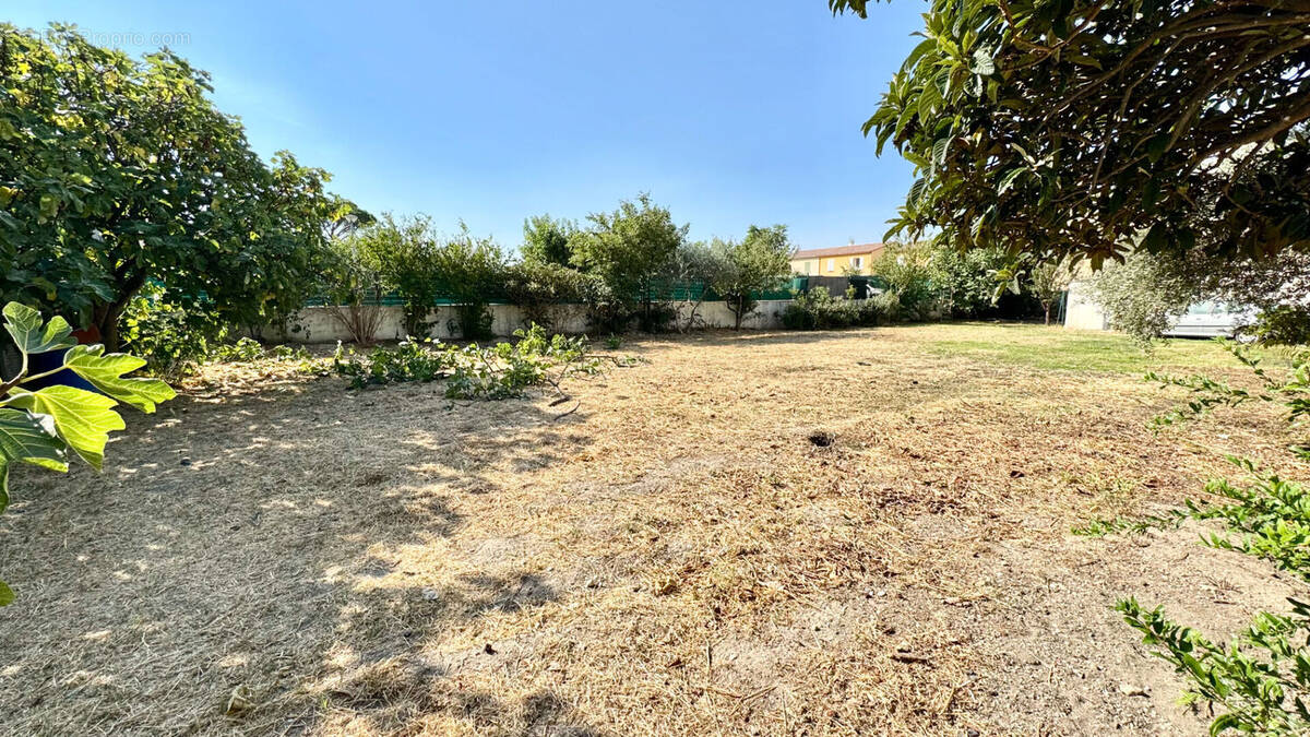 Terrain à CARPENTRAS