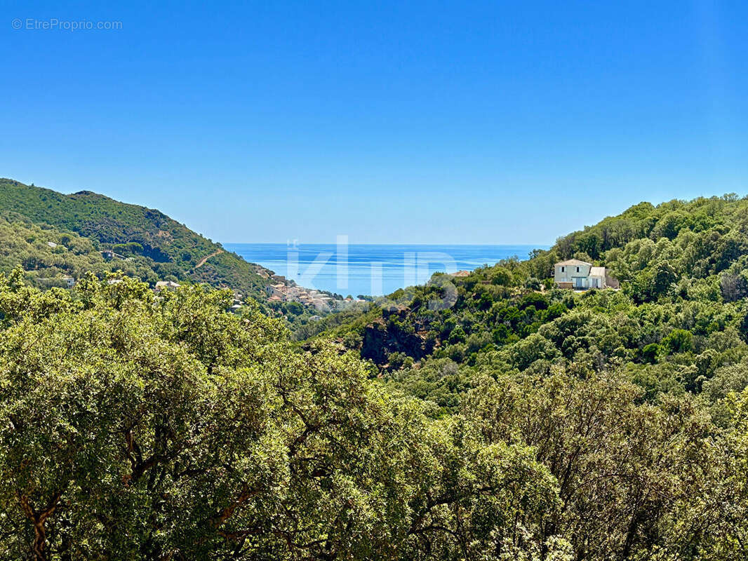 Maison à SANTA-MARIA-DI-LOTA