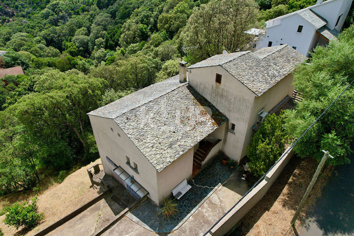 Maison à SANTA-MARIA-DI-LOTA