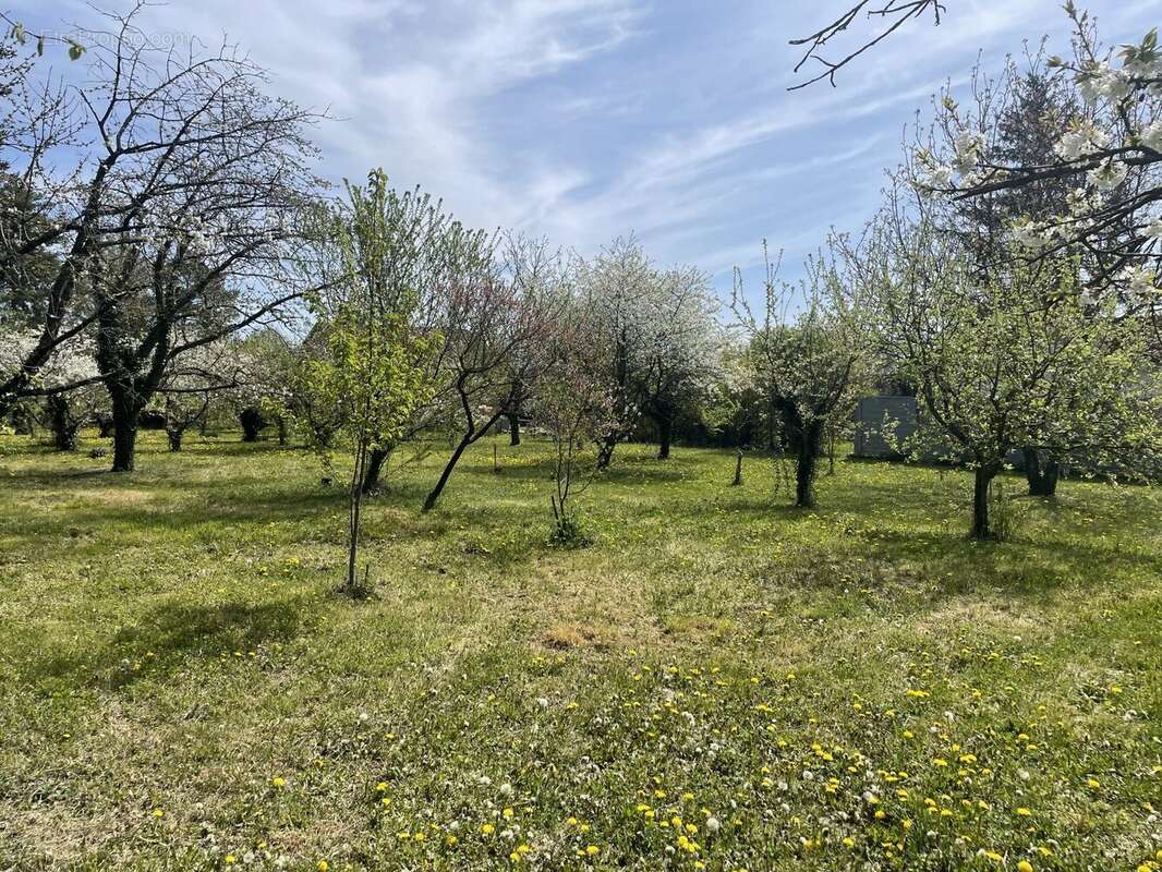 Terrain à AIGUEPERSE