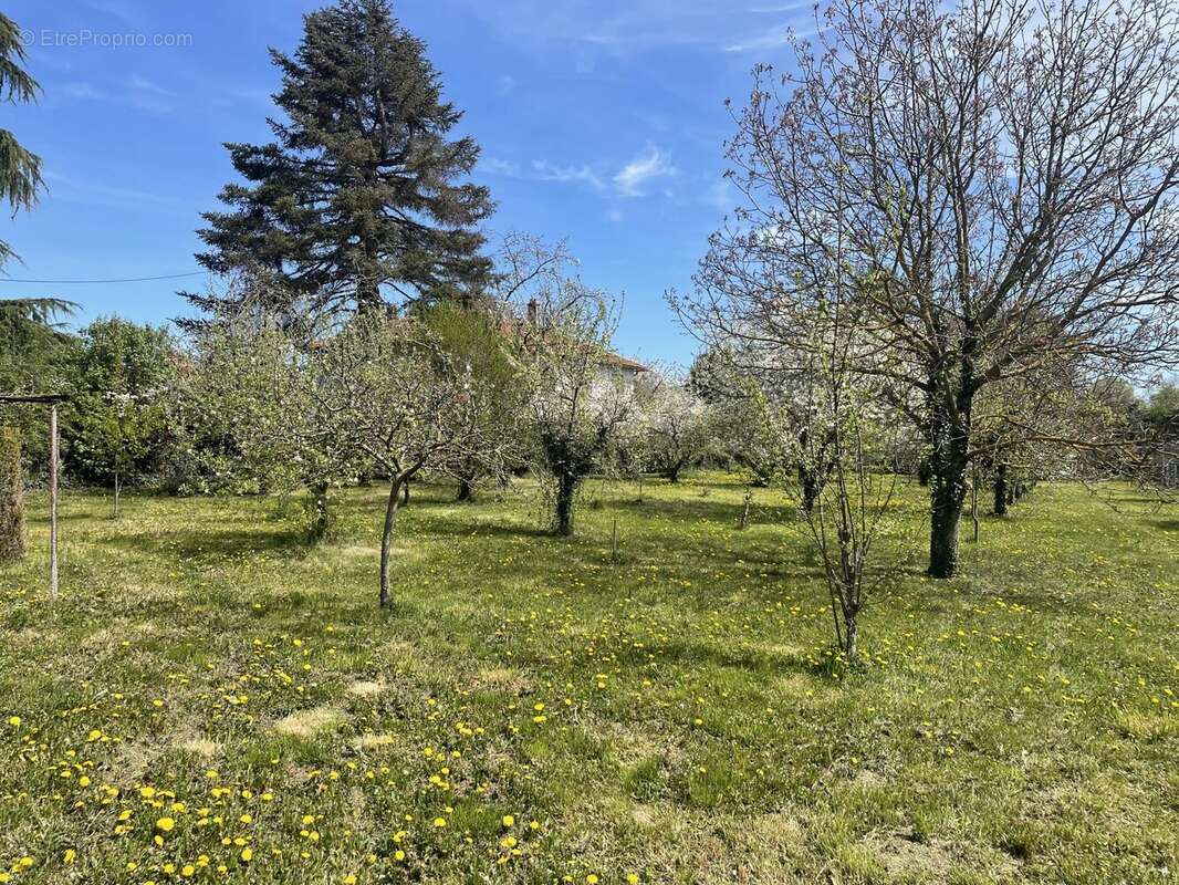 Terrain à AIGUEPERSE