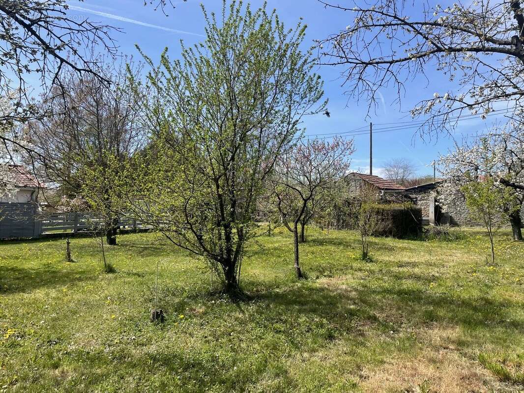 Terrain à AIGUEPERSE