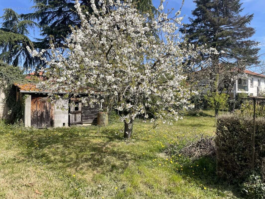 Terrain à AIGUEPERSE