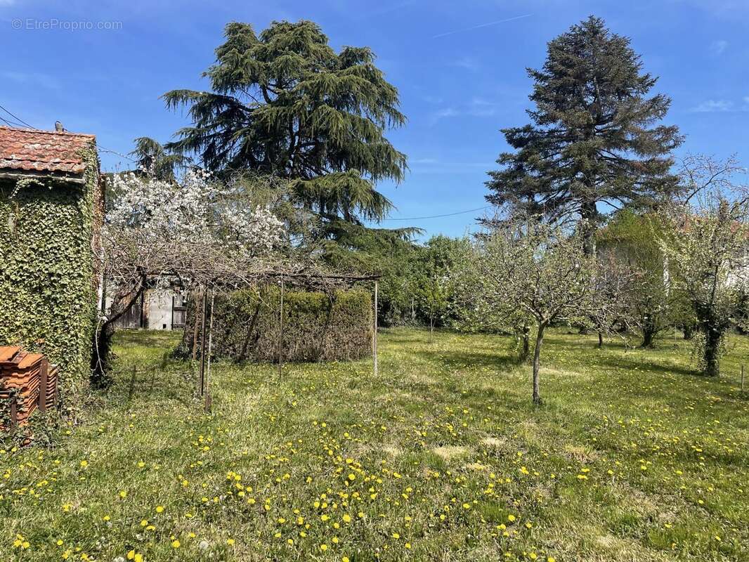 Terrain à AIGUEPERSE