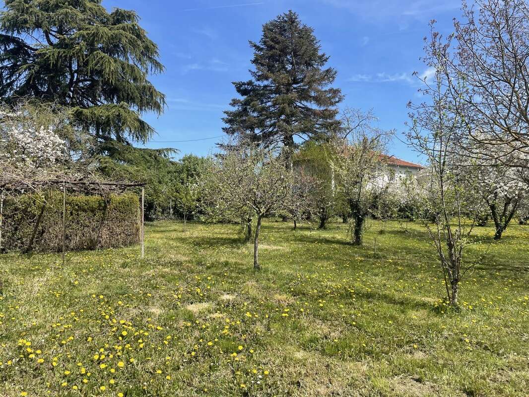 Terrain à AIGUEPERSE