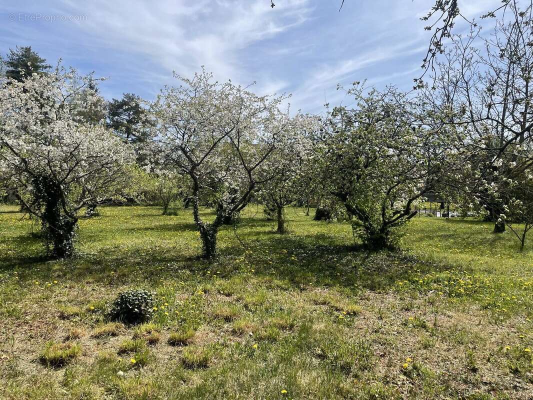 Terrain à AIGUEPERSE