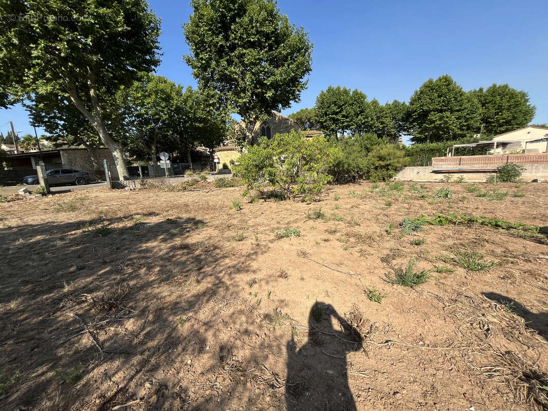 Terrain à MONTSERET