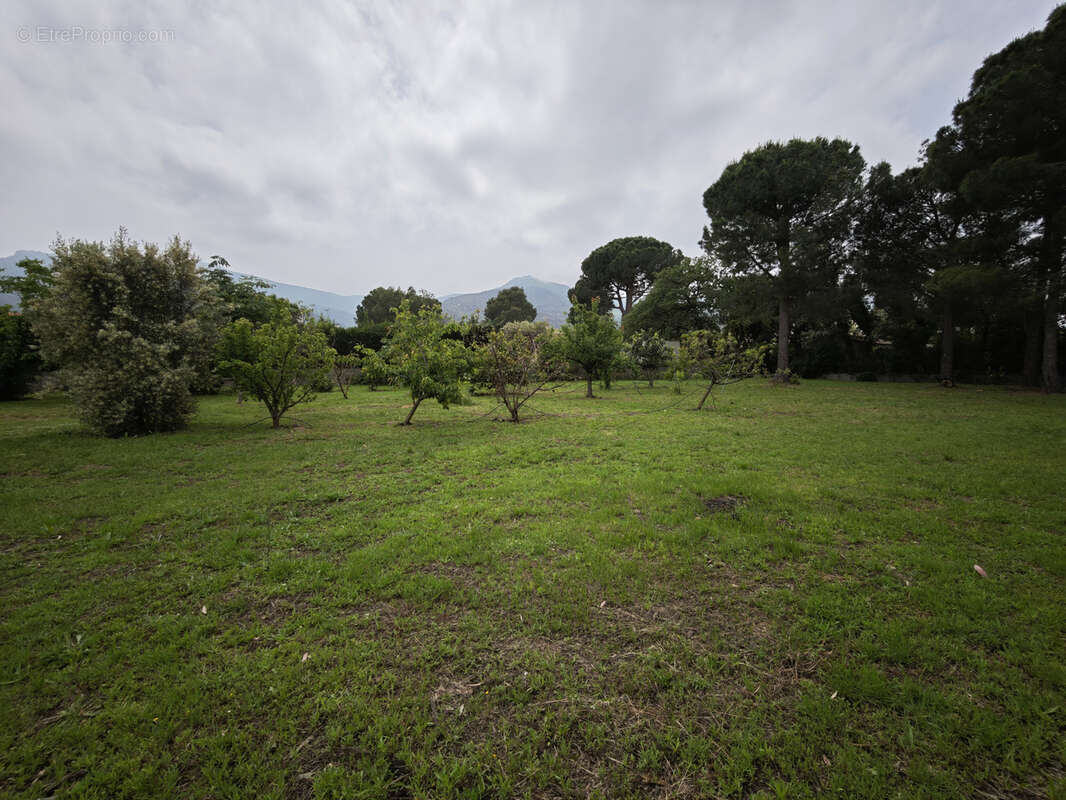 Terrain à LAROQUE-DES-ALBERES