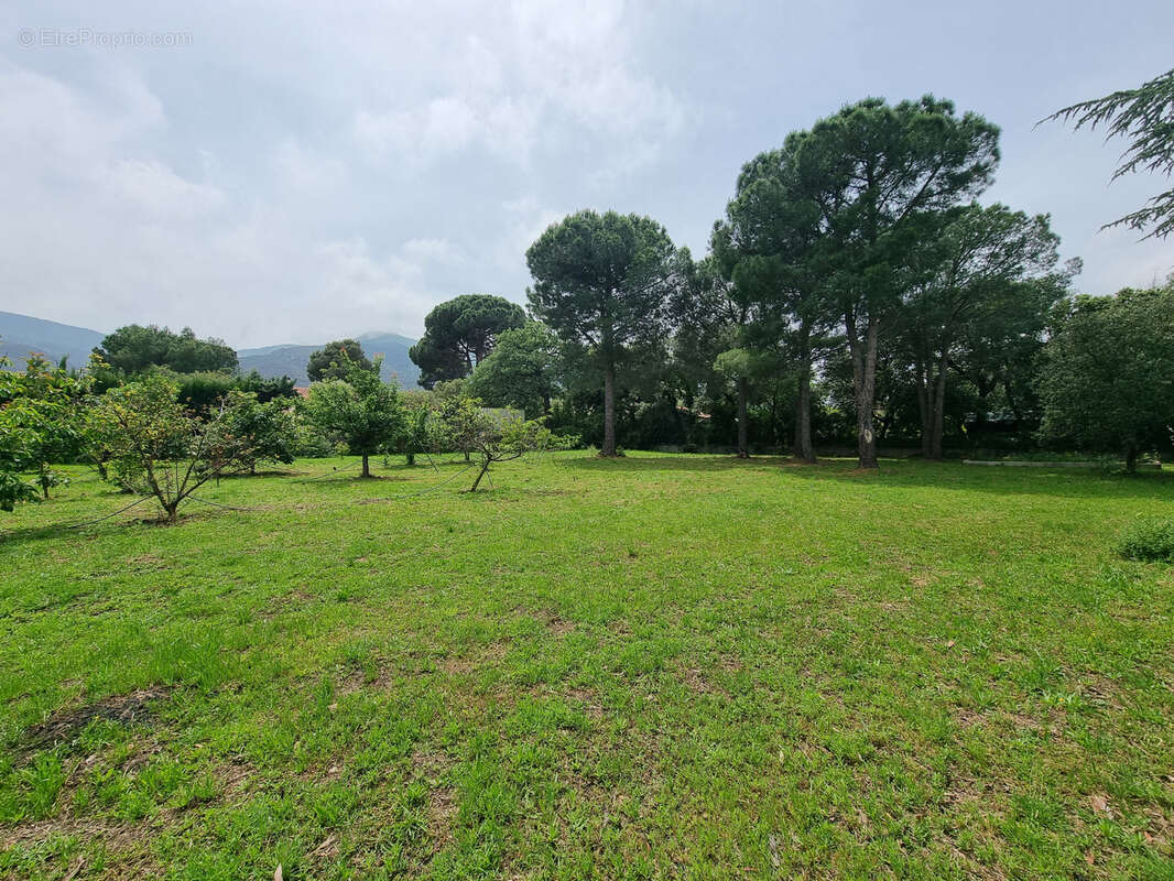 Terrain à LAROQUE-DES-ALBERES