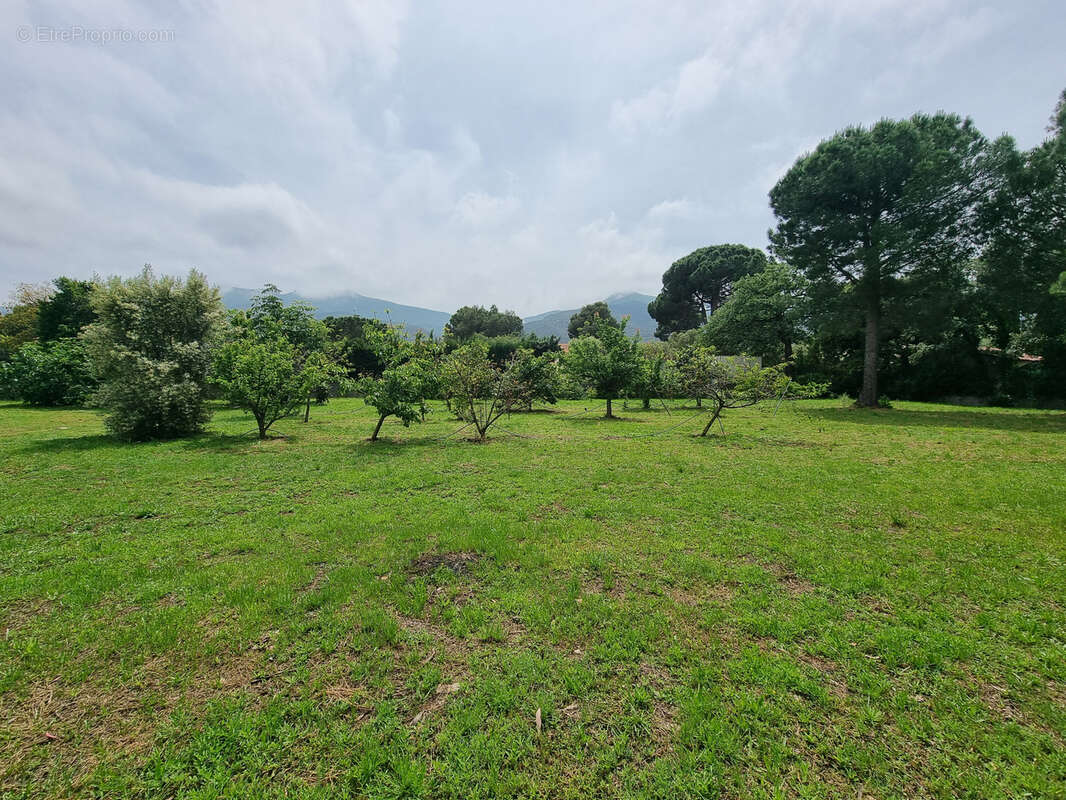 Terrain à LAROQUE-DES-ALBERES