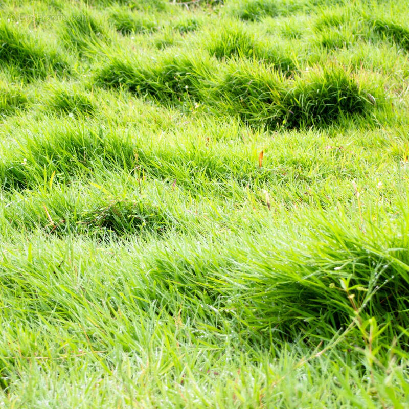 Autre à SAINT-GEORGES-DES-GROSEILLERS