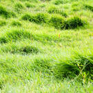 Autre à SAINT-GEORGES-DES-GROSEILLERS