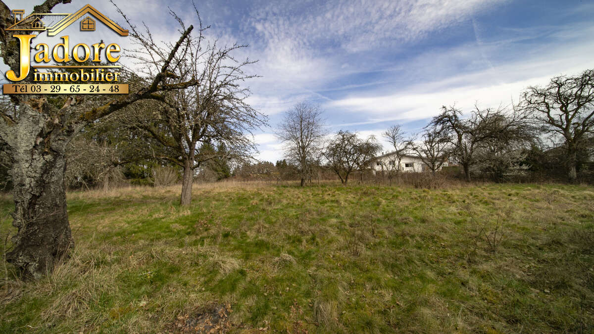 Maison à SAINT-DIE-DES-VOSGES