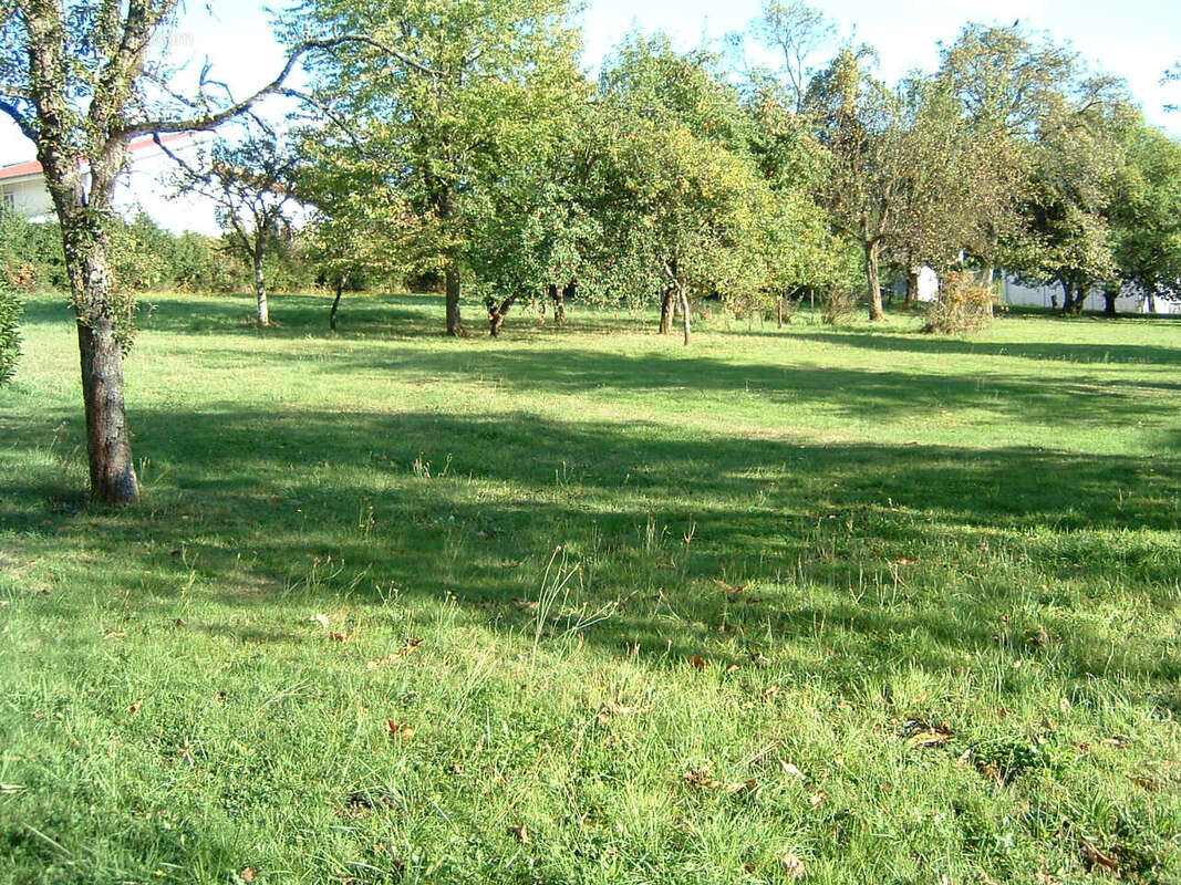 Maison à SAINT-DIE-DES-VOSGES