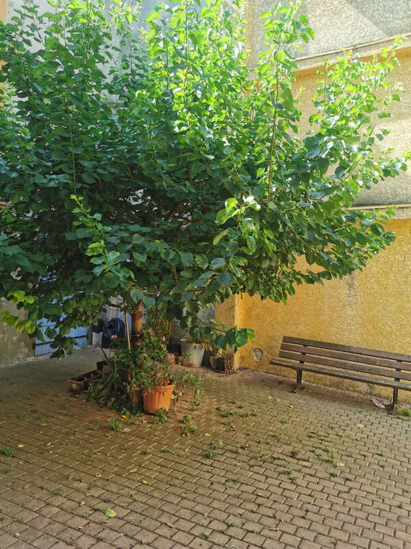 Maison à BOUJAN-SUR-LIBRON