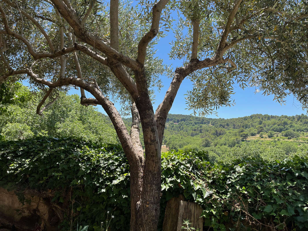 Maison à LA ROQUE-SUR-PERNES