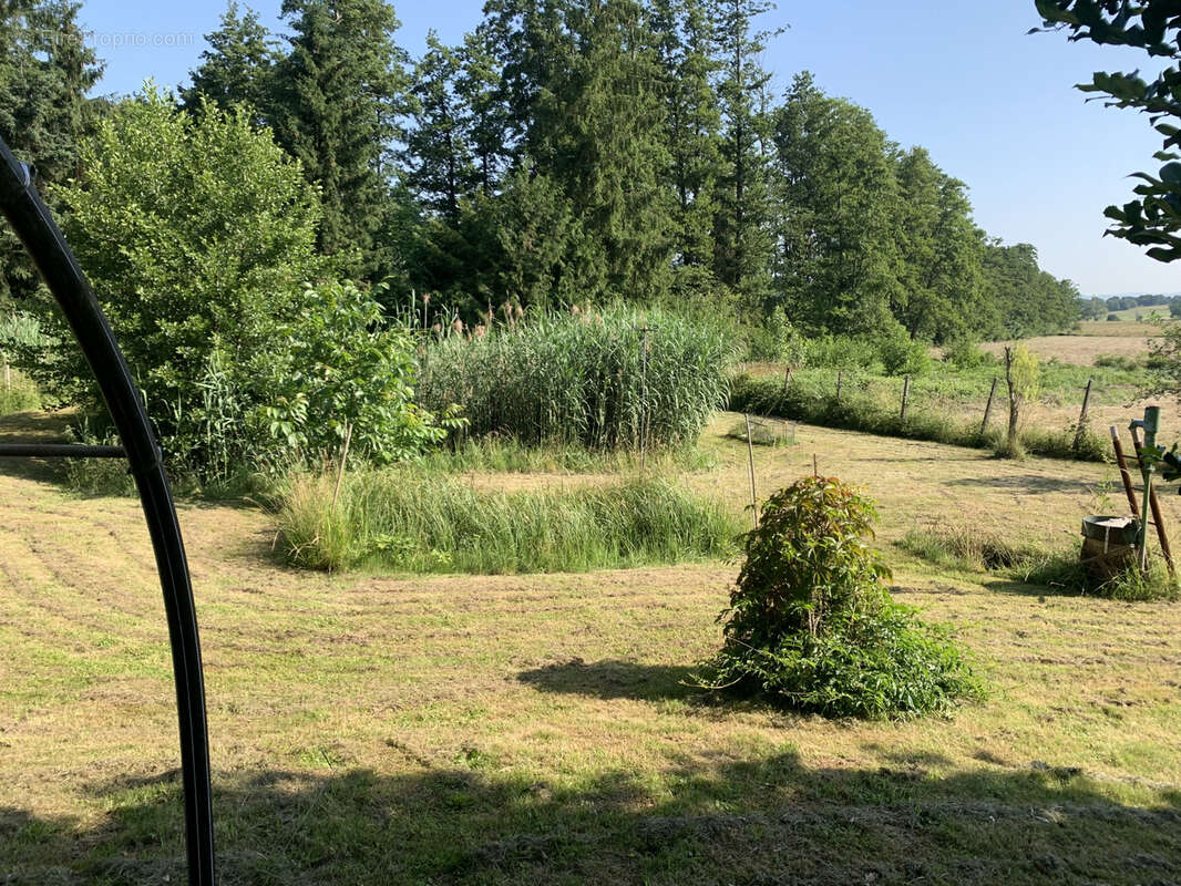 Terrain à ERNOLSHEIM-LES-SAVERNE