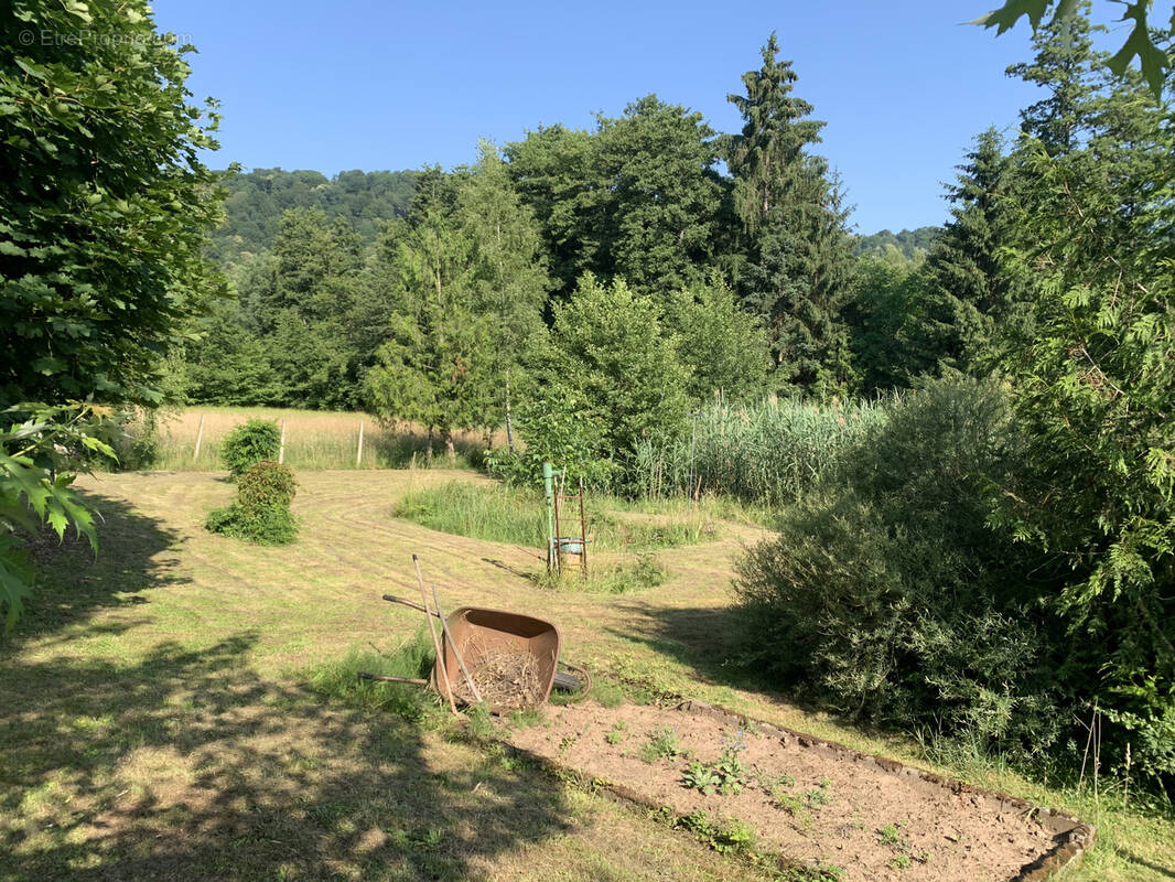 Terrain à ERNOLSHEIM-LES-SAVERNE