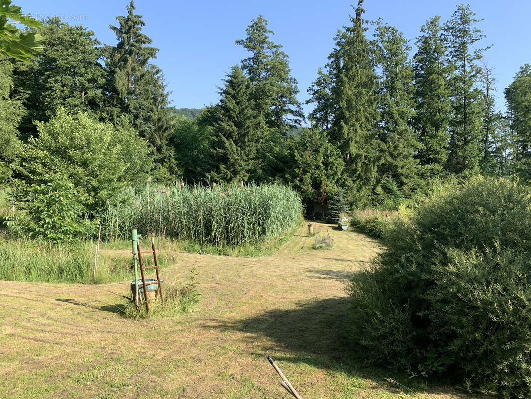 Terrain à ERNOLSHEIM-LES-SAVERNE